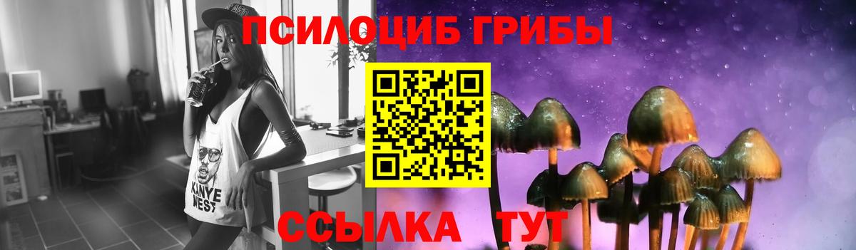Галлюциногенные грибы мицелий Братск